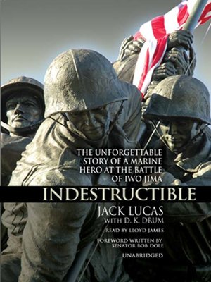 cover image of Indestructible